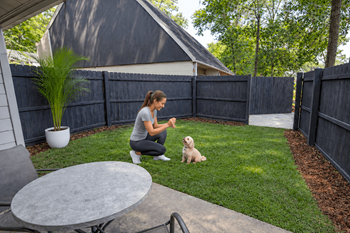 Fenced backyards
